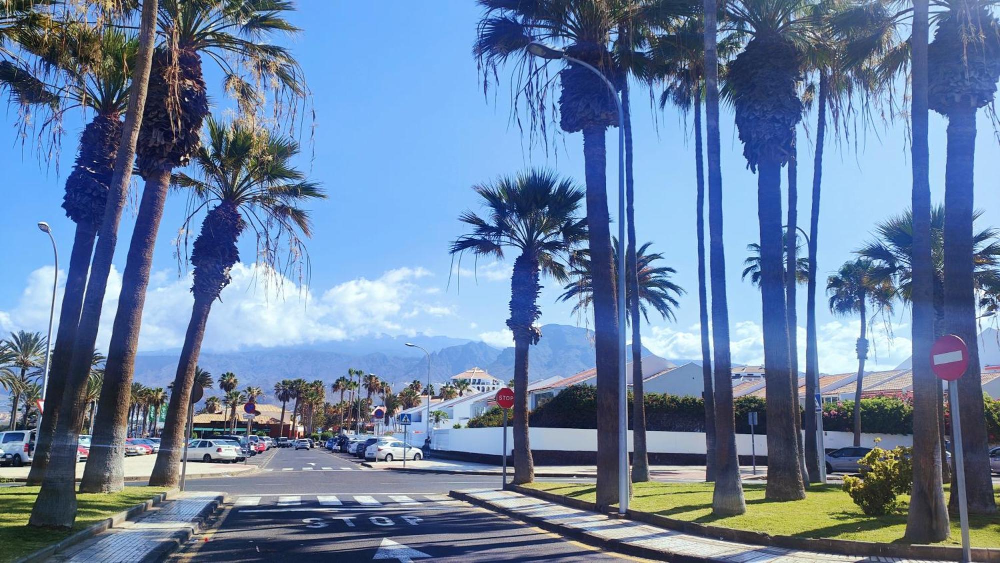 Parque Santiago 2 En Playa De Las Americas Arona (Tenerife) Exterior foto